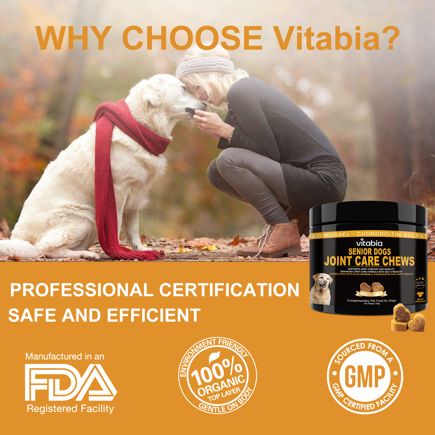 Joint Support Chews for Senior Dogs