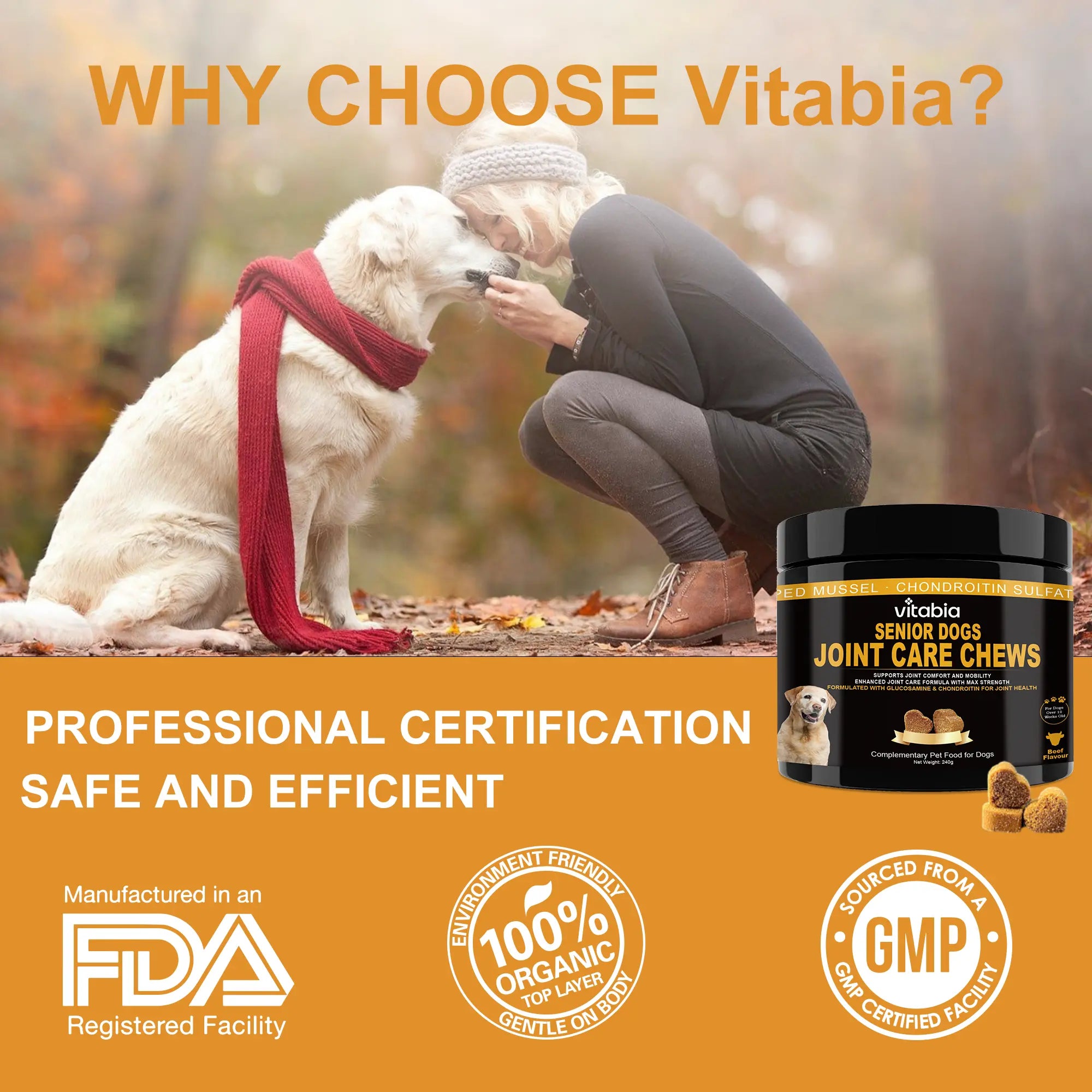 Senior Dog Joint Supplements – Glucosamine, Chondroitin, MSM & Omega 3 for Mobility & Joint Health | Vitabia UK
