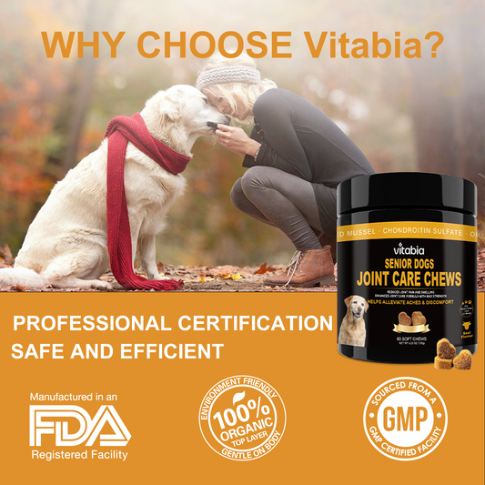 Joint Support Chews for Senior Dogs – Joint Health & Mobility Support