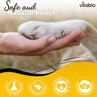 Paw & Nose Balm — Daily Comfort for Dry Skin in Dogs & Cats