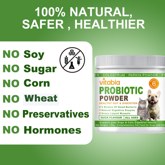 Probiotics Powder for Dogs & Cats – Daily Digestive Support