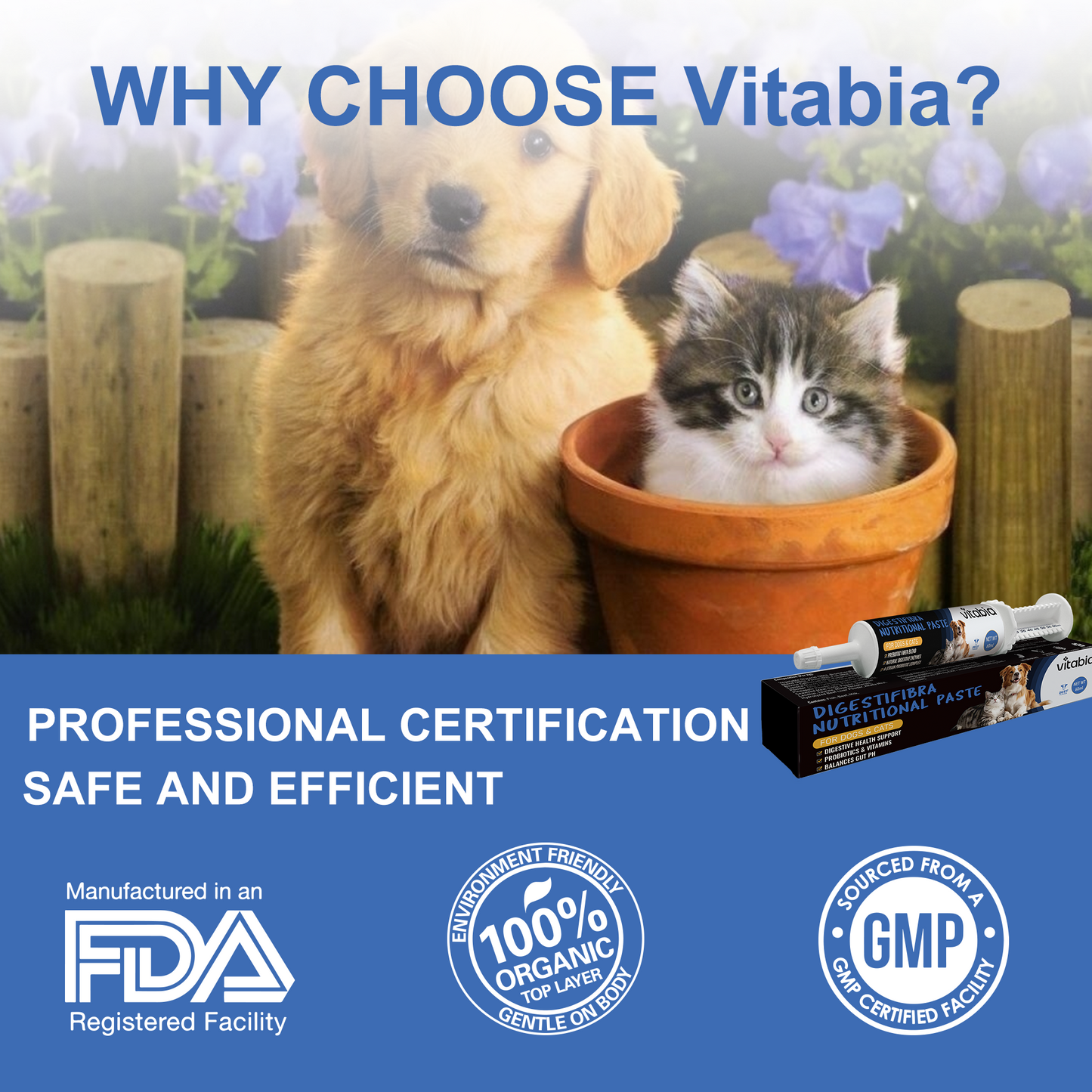 DigestiFibra Probiotic Paste for Dogs & Cats | Gut Health & Digestion Support