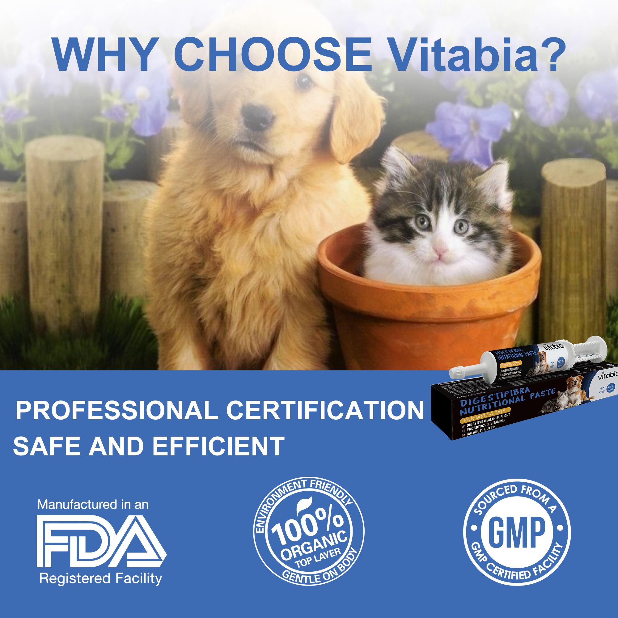 DigestiFibra Probiotic Paste for Dogs & Cats | Gut Health & Digestion Support