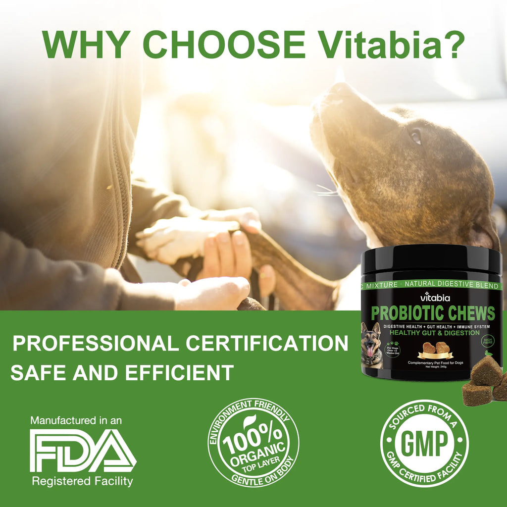 Probiotics for Dogs – Prebiotic Fibre Chews for Gut Health & Anal Gland Support | Vitabia UK