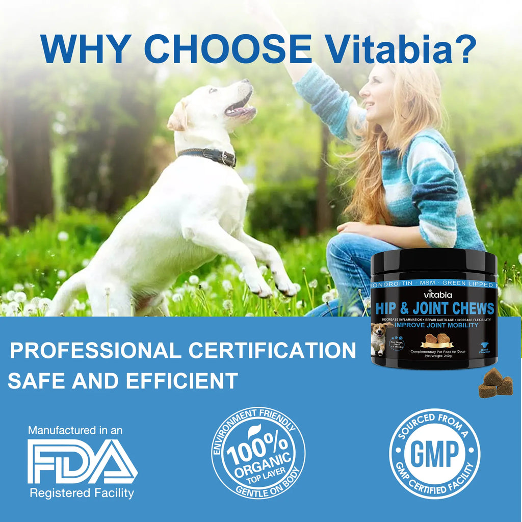 Joint Supplements for Dogs – Glucosamine & Green Lipped Mussel Chews | Vitabia UK