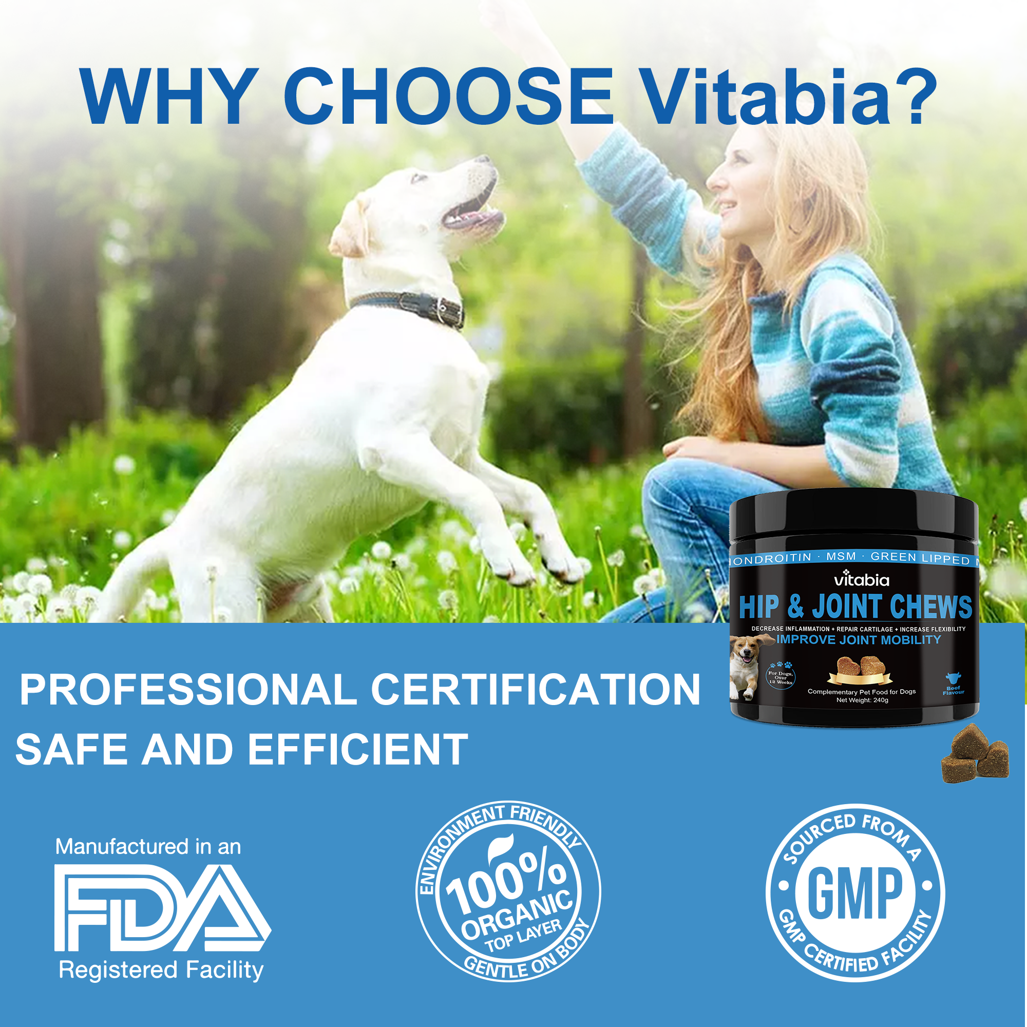 Joint Supplements for Dogs – Dog Joint Care with Glucosamine, Chondroitin, Green Lipped Mussel and Turmeric for Effective Dog Pain Relief