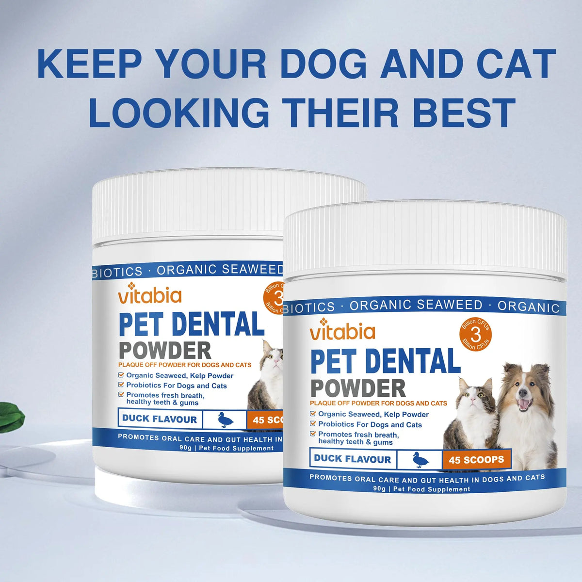 Plaque Off Powder for Dogs & Cats – Dental Care Support with Seaweed, Kelp & Probiotics | Vitabia UK