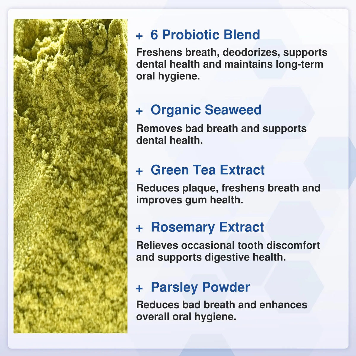 Plaque Off Powder for Dogs & Cats – Dental Care Support with Seaweed, Kelp & Probiotics | Vitabia UK