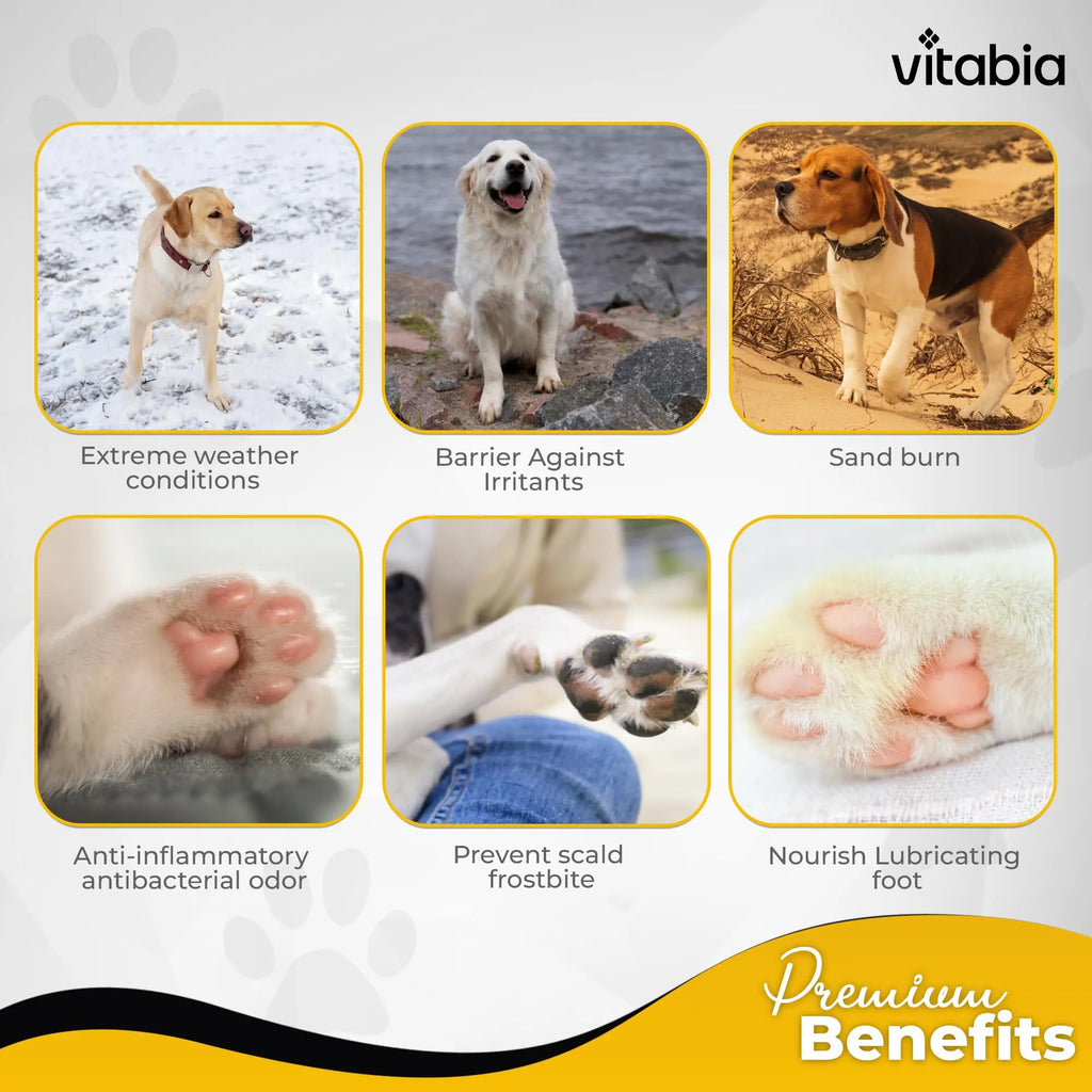 Dog and Cat Paw Balm – Natural Paw & Nose Care with Shea Butter | Vitabia UK