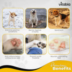 Dog and Cat Paw Balm – Natural Paw & Nose Care with Shea Butter | Vitabia UK