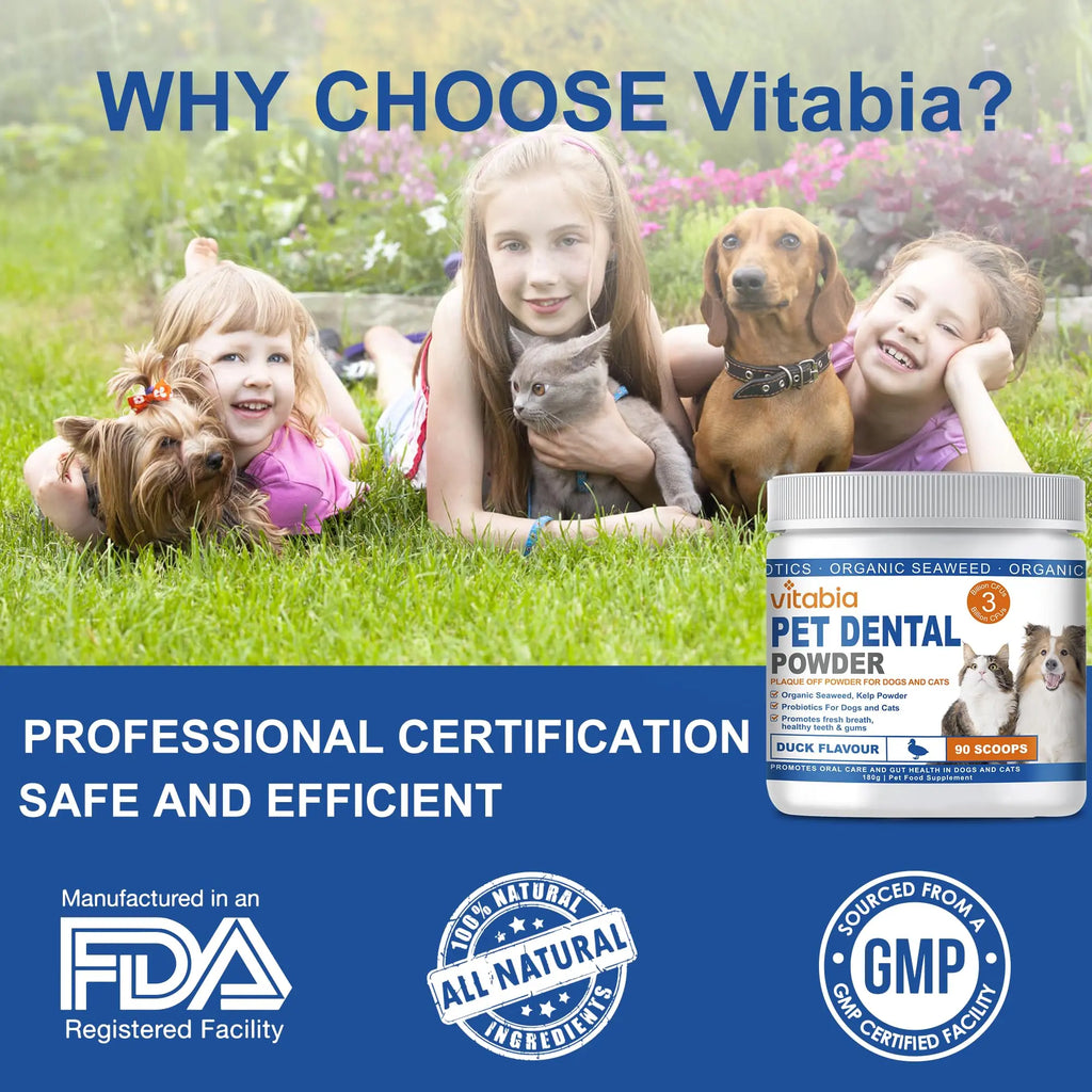 Plaque Off Powder for Dogs & Cats – Dental Care Support with Seaweed, Kelp & Probiotics | Vitabia UK