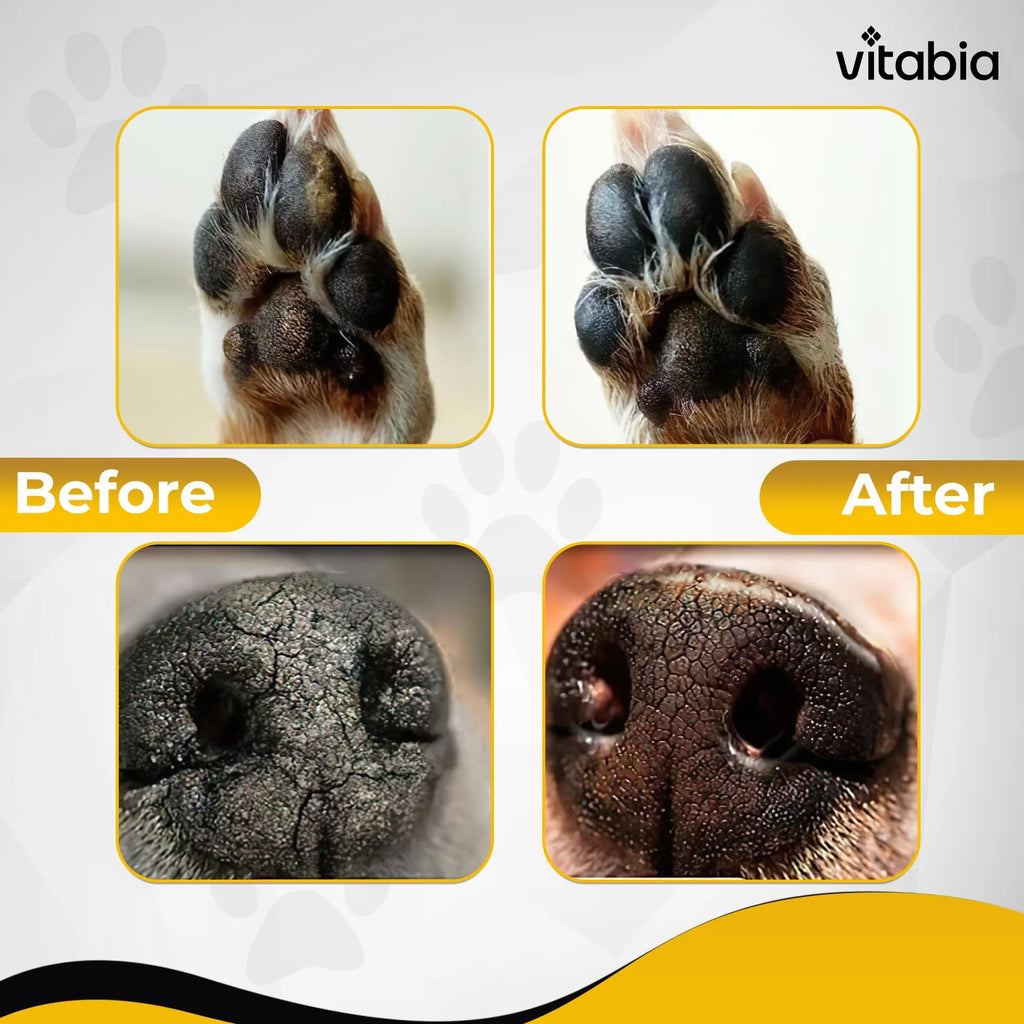 Dog and Cat Paw & Nose Balm – Natural Daily Skin Care | Vitabia UK