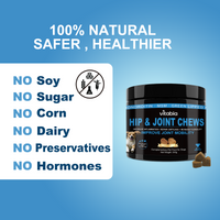 Joint Supplements for Dogs – Dog Joint Care with Glucosamine, Chondroitin, Green Lipped Mussel and Turmeric for Effective Dog Pain Relief