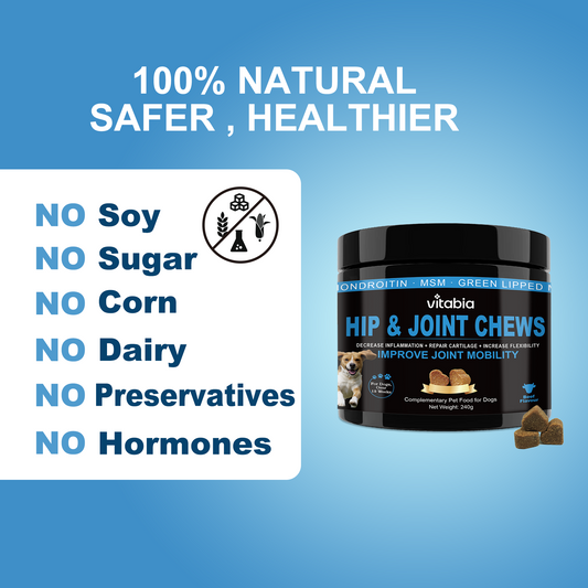 Joint Supplements for Dogs – Dog Joint Care with Glucosamine, Chondroitin, Green Lipped Mussel and Turmeric for Effective Dog Pain Relief