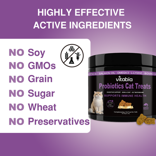 Probiotic Treats for Cats – Daily Gut & Skin Care