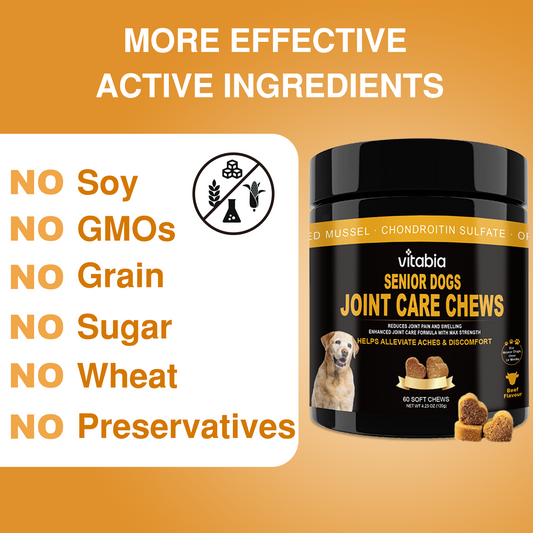 Joint Support Chews for Senior Dogs – Joint Health & Mobility Support