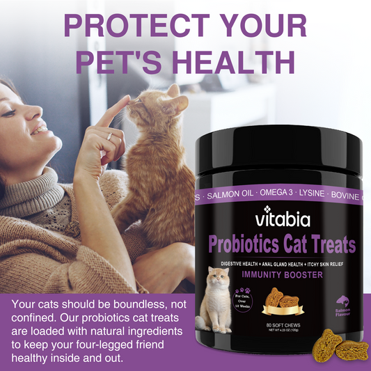 Probiotic Cat Treats – Digestive, Anal Gland & Skin Support
