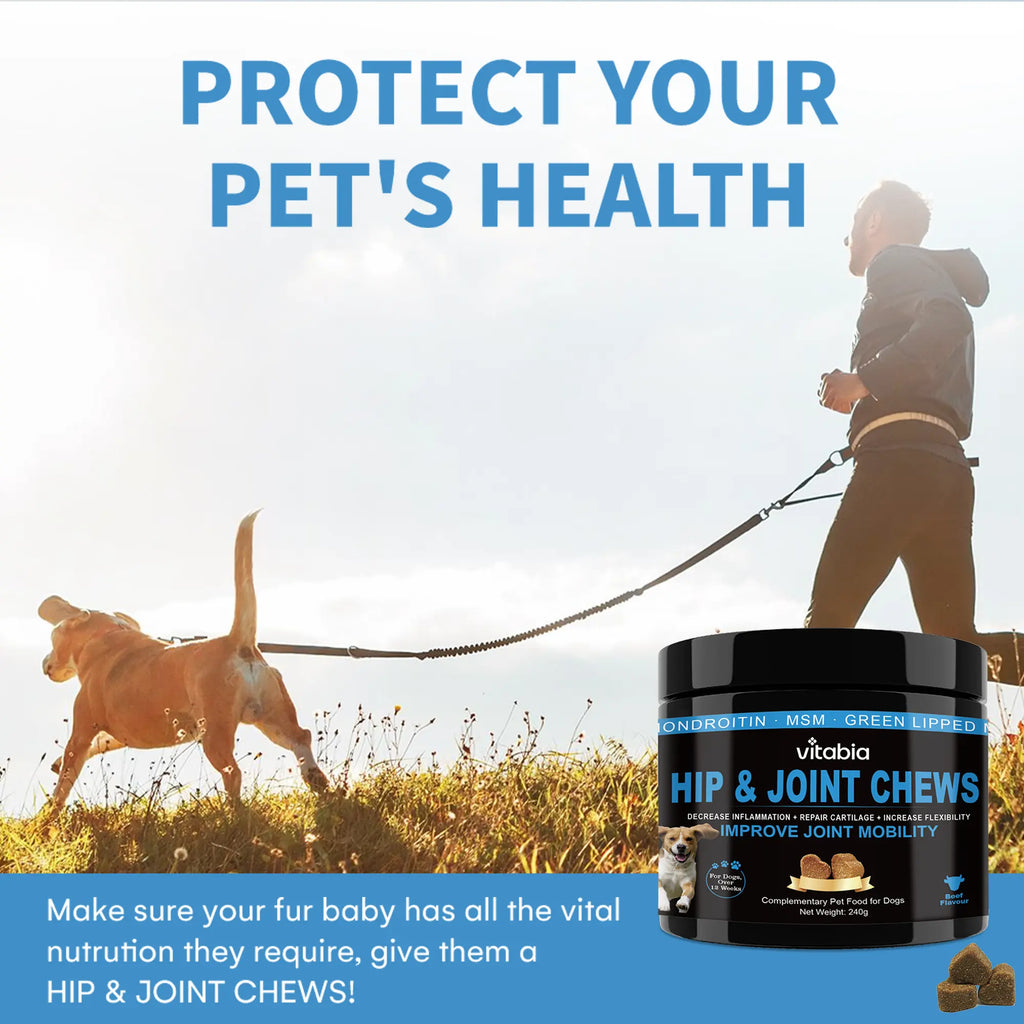 Hip and Joint Chews for Dogs – Mobility & Joint Support | Vitabia UK