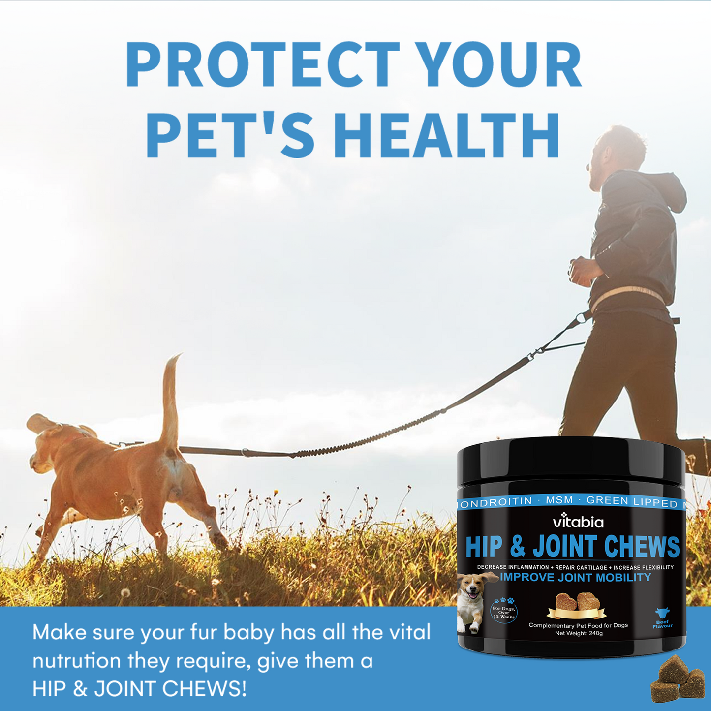 Hip & Joint Chews for Dogs