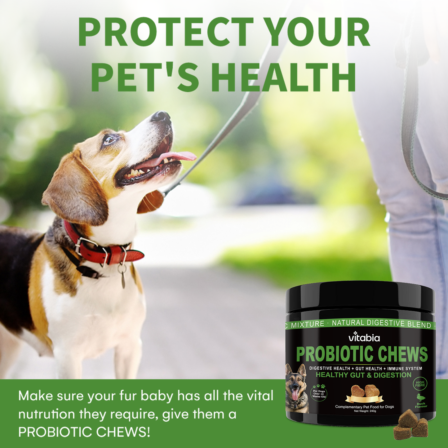 Probiotic Fibre Chews for Dogs – Daily Gut & Coat Support