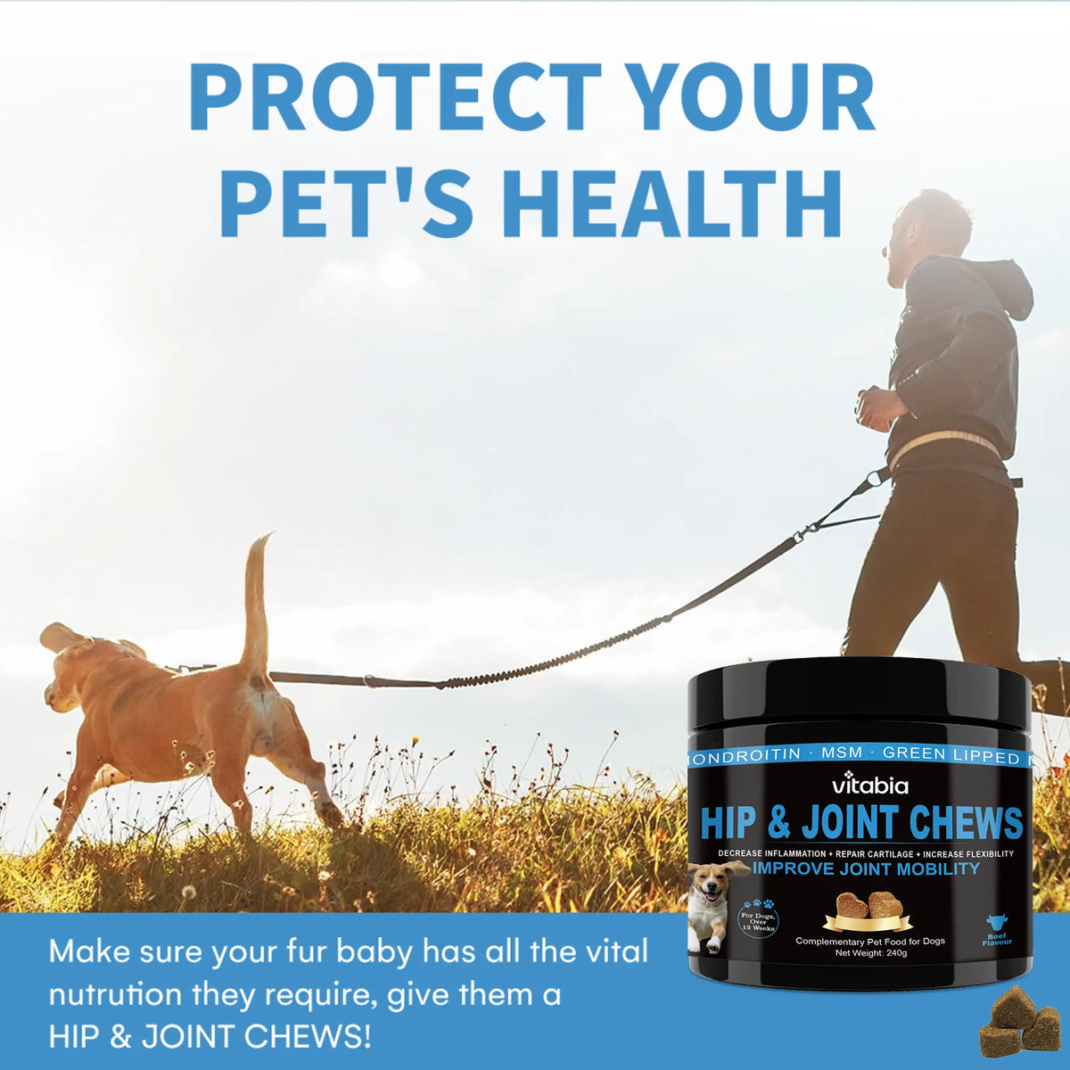 Joint Supplements for Dogs – Glucosamine & Green Lipped Mussel Chews | Vitabia UK