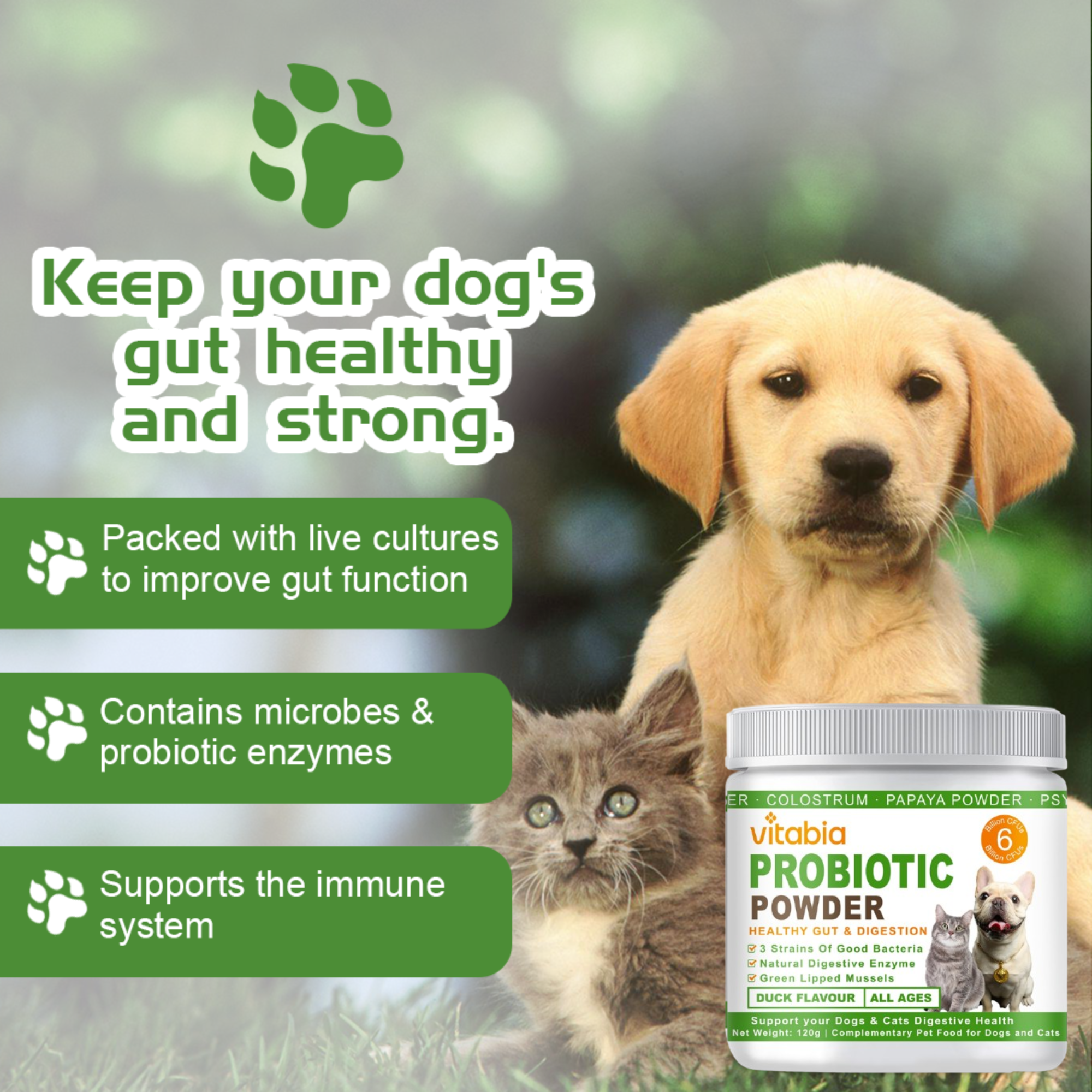 Probiotics Powder for Dogs & Cats – Daily Digestive Support