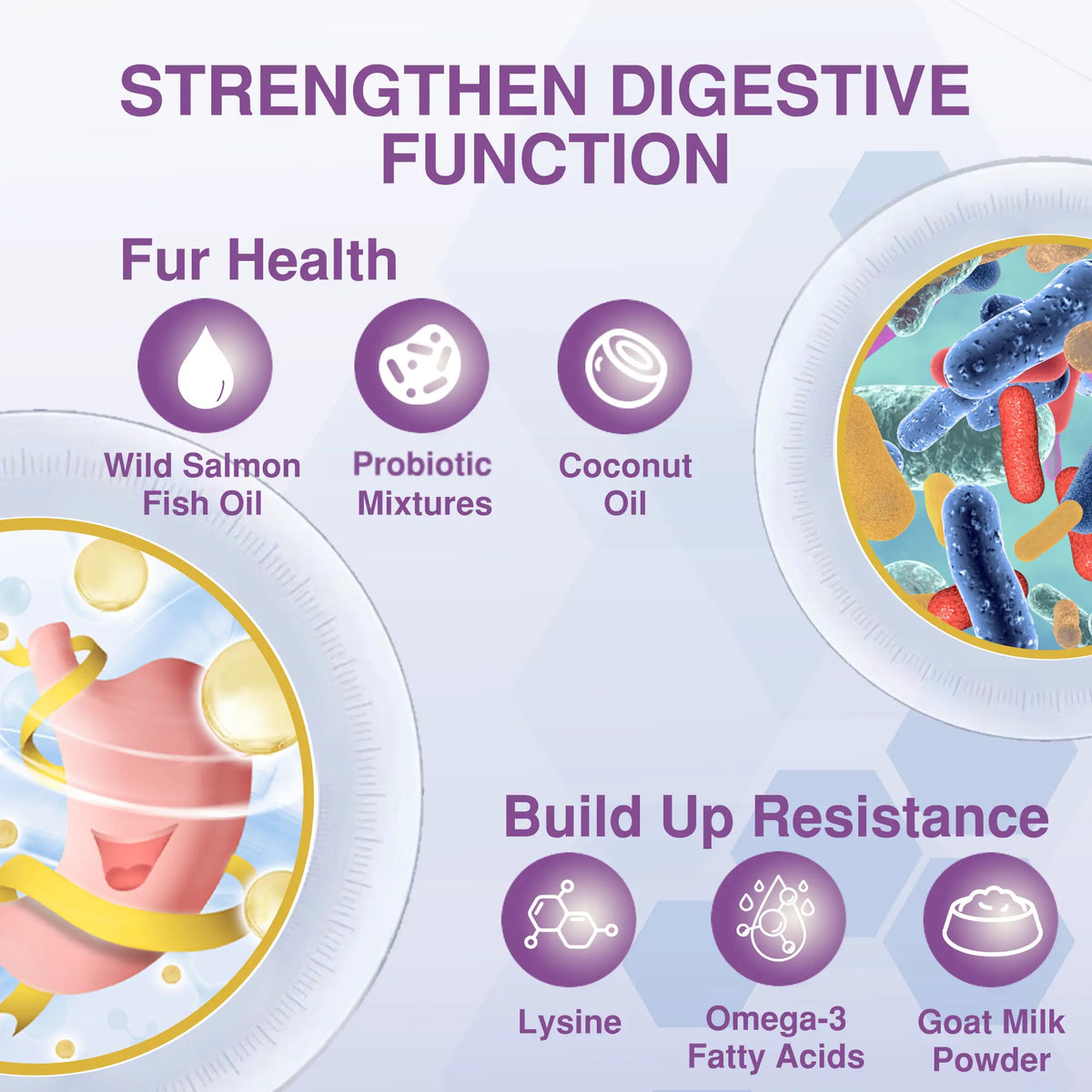 Probiotics for Cats with Lysine & Omega 3 – Skin, Coat, Digestive & Immune Support Soft Chews | Vitabia UK