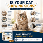 Cat Probiotics & Prebiotics Chews supporting gut health, digestive function and everyday wellbeing for cats