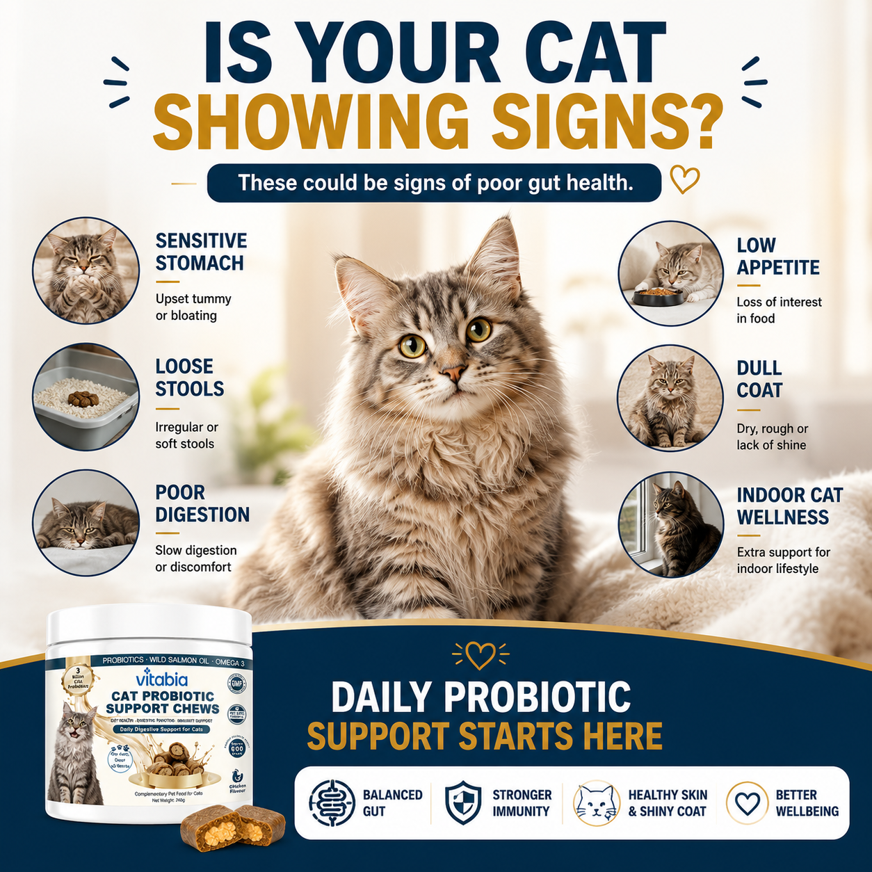 Cat Probiotics & Prebiotics Chews supporting gut health, digestive function and everyday wellbeing for cats