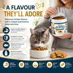 Chicken flavour Cat Probiotic Chews with crunchy shell and creamy centre for easy daily feeding
