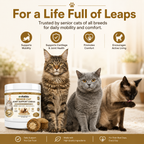 VITABIA Senior Cat Joint Support Chews | Glucosamine, Green-Lipped Mussel & Omega-3 | Chicken Flavour Crunchy Creamy Chews