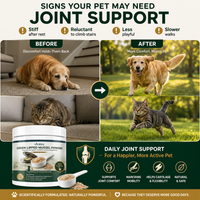 Green Lipped Mussel Powder for Dogs & Cats | 1000mg New Zealand Green-Lipped Mussel | 10-in-1 Joint Support Food Topper | 120g