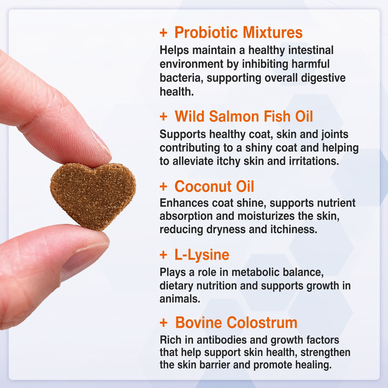 Salmon Oil Chews for Dogs – Omega 3, 6 & 9 Skin, Coat & Immune Support with Probiotics | Vitabia UK