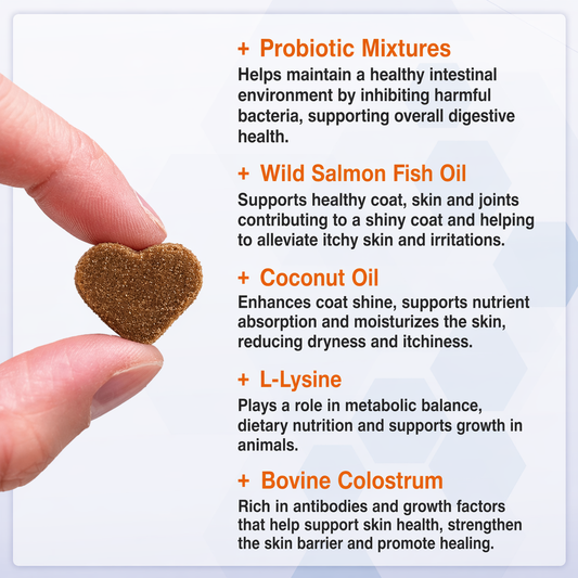Salmon Oil Chews for Dogs – Omega 3, 6 & 9 Skin, Coat & Immune Support with Probiotics