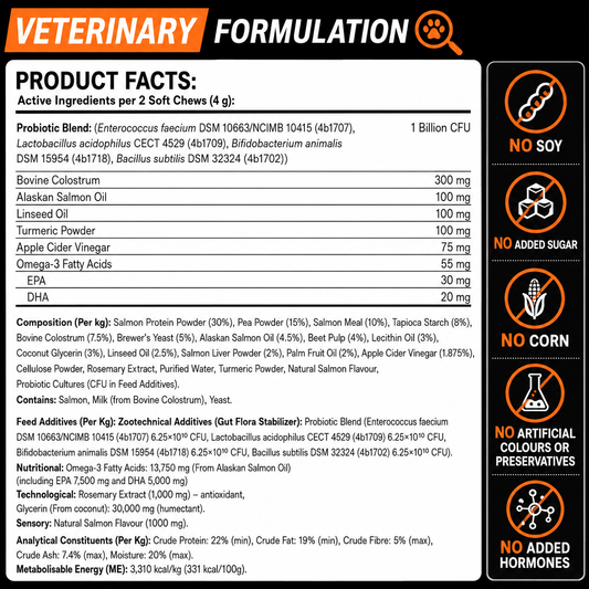 Dog Skin and Coat Support Chews – Omega 3 & Salmon Oil for Healthy Coat | Vitabia UK