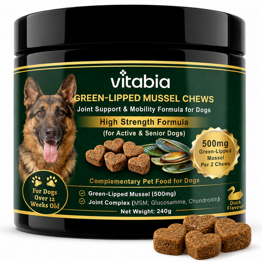 Green Lipped Mussel Dog Chews | Dog Joint Supplement MSM Glucosamine Chondroitin