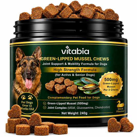 Green Lipped Mussel Dog Chews | Dog Joint Supplement MSM Glucosamine Chondroitin