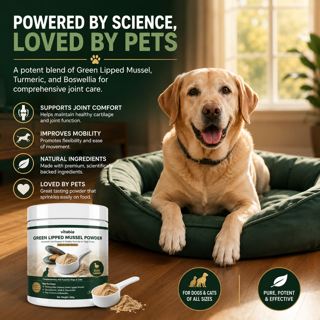 Green Lipped Mussel Powder for Dogs & Cats | 1000mg New Zealand Green-Lipped Mussel | 10-in-1 Joint Support Food Topper | 120g