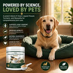 Green Lipped Mussel Powder for Dogs & Cats | 1000mg New Zealand Green-Lipped Mussel | 10-in-1 Joint Support Food Topper | 120g