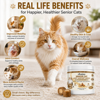 VITABIA Senior Cat Joint Support Chews | Glucosamine, Green-Lipped Mussel & Omega-3 | Chicken Flavour Crunchy Creamy Chews