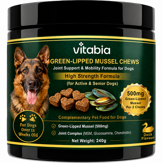 Green Lipped Mussel Dog Chews | Dog Joint Supplement MSM Glucosamine Chondroitin