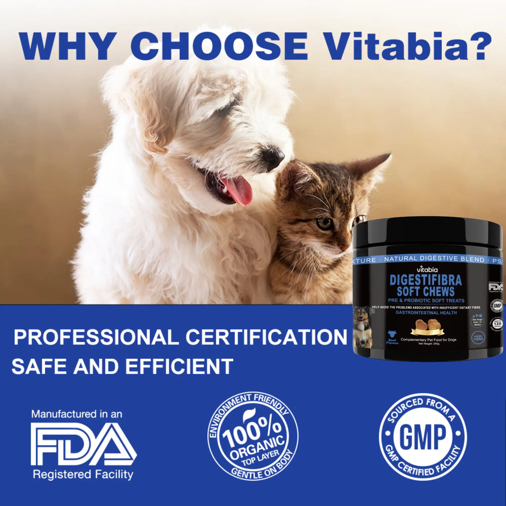 DigestiFibra Probiotic Fibre Chews for Dogs – Gut & Anal Gland Support | Vitabia UK