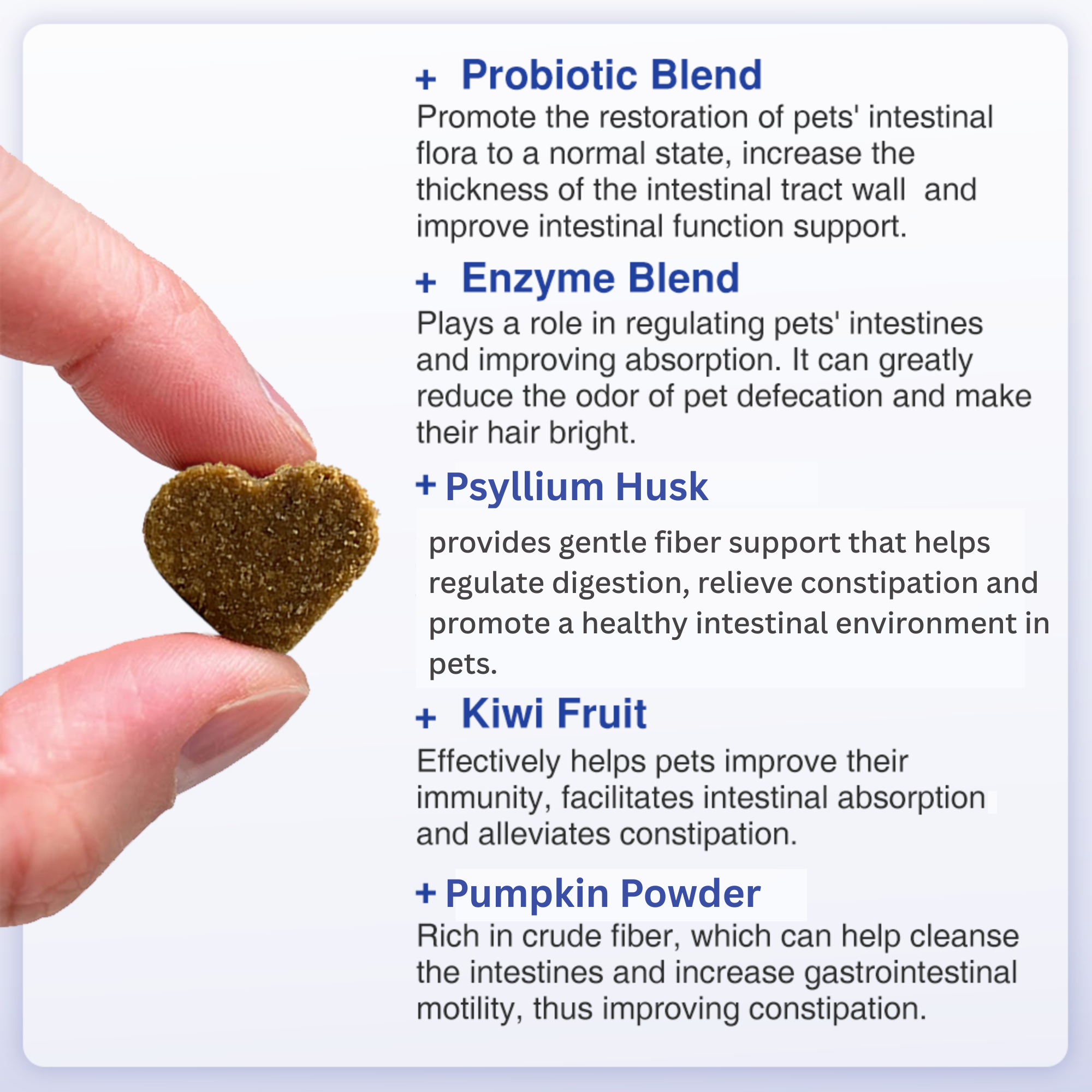 Fibre & Probiotic Chews for Dogs – Daily Digestive Support