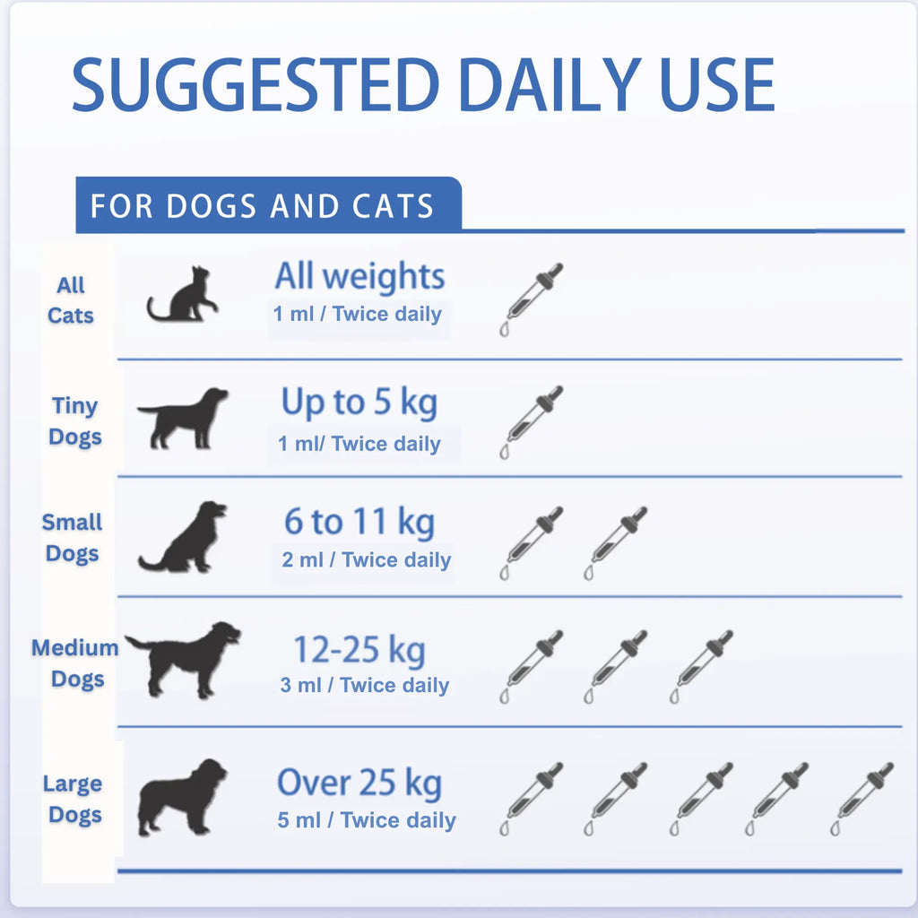 Probiotic Paste for Dogs and Cats – Digestive & Gut Support | Vitabia UK