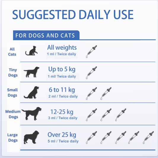 DigestiFibra Probiotic Paste for Dogs & Cats | Gut Health & Digestion Support