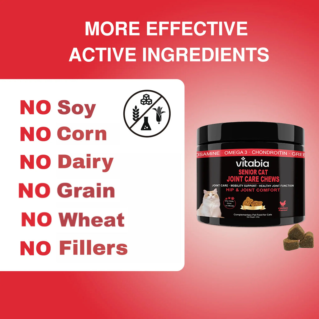 Senior Cat Joint Support Chews – Glucosamine, Chondroitin & Omega 3 for Mobility