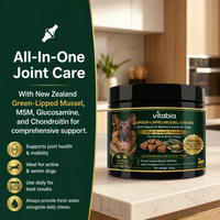 Green Lipped Mussel Dog Chews | Dog Joint Supplement MSM Glucosamine Chondroitin
