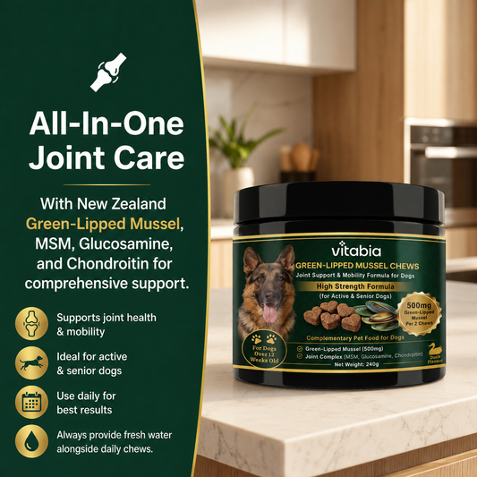 Green Lipped Mussel Dog Chews | Dog Joint Supplement MSM Glucosamine Chondroitin