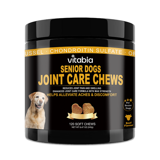 Joint Support Chews for Senior Dogs – Joint Health & Mobility Support