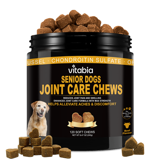 Joint Support Chews for Senior Dogs – Joint Health & Mobility Support